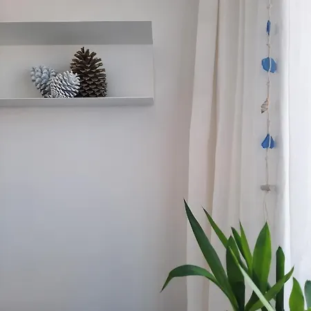 Sitius 5b - New Seaview With Rooftop Terrace In Historical Centre Sitio Da Nazaré