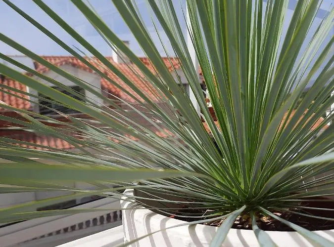 Sitius 5b - New Seaview With Rooftop Terrace In Historical Centre Sitio Da Appartamento