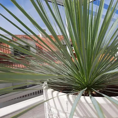 Sitius 5b - New Seaview With Rooftop Terrace In Historical Centre Sitio Da Apartment